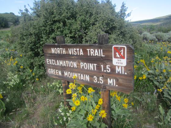 The trail head is located just behind the ranger station