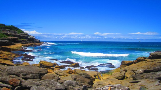 A view from the Coastal Walk from Bondi to Coogee Beach