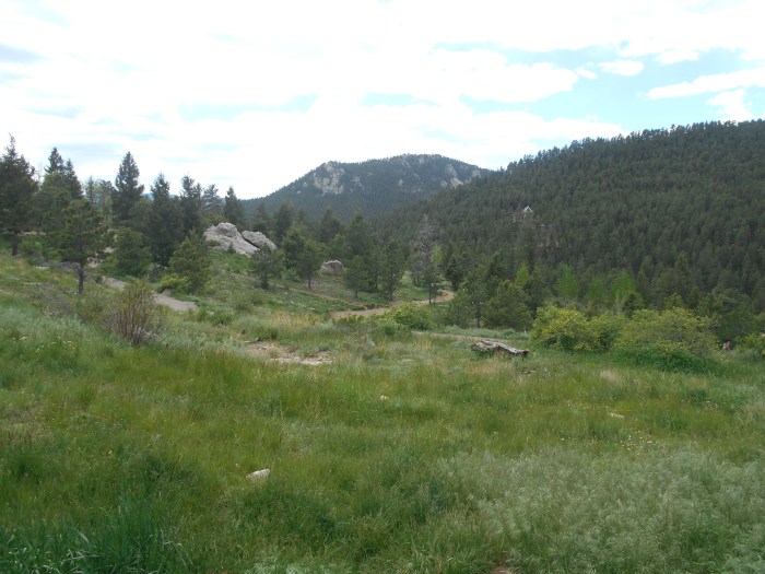 DSCN0943