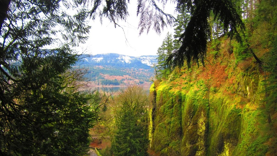 The view of the Columbia River Gorge from the Benson Bridge at Multnomah Falls