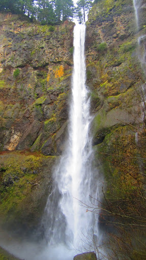 The view of the Columbia River Gorge from the Benson Bridge at Multnomah Falls