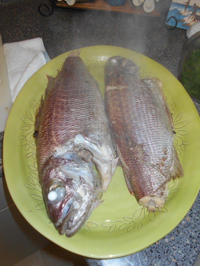 Hawaiian pink snapper