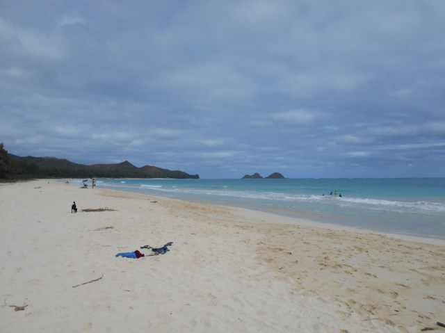 You can see Pono on the left hand side of the photo exploring