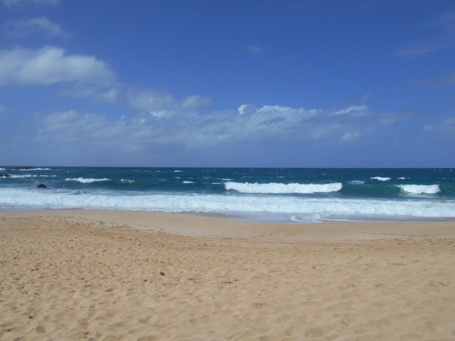 Waimea Bay Beach Park