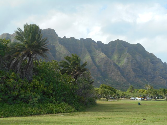 The Ko'olau Mountains just across the street from the beach