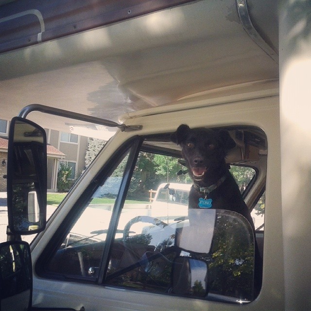 An active dog is a hungry and thirsty dog