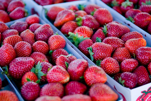 3626814356_cd4ec5548c