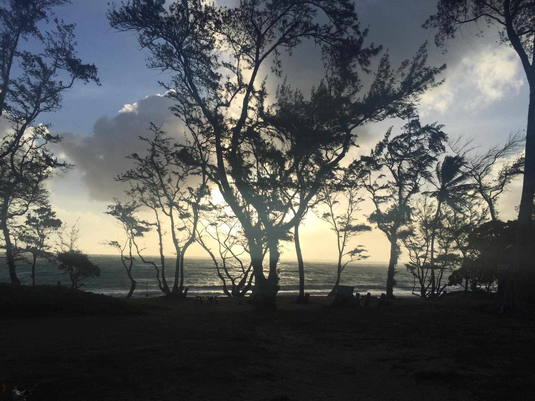 22538930_10104919779035479_7533890661964763784_o