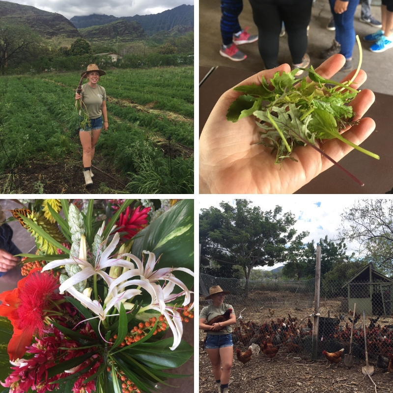 Copy of Copy of Copy of Copy of Book sale