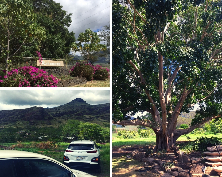 Copy of Untitled Design (2)